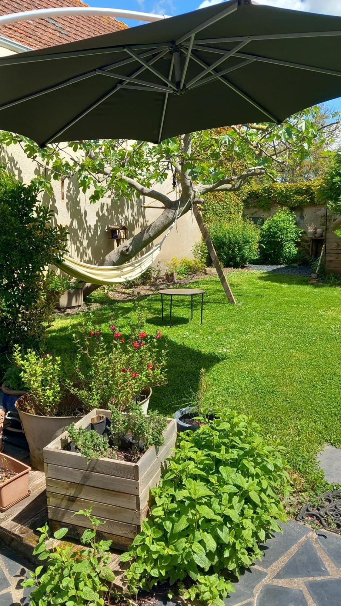 Saint-Mathurin  Chambres D'Hotes Bord De Loire المظهر الخارجي الصورة
